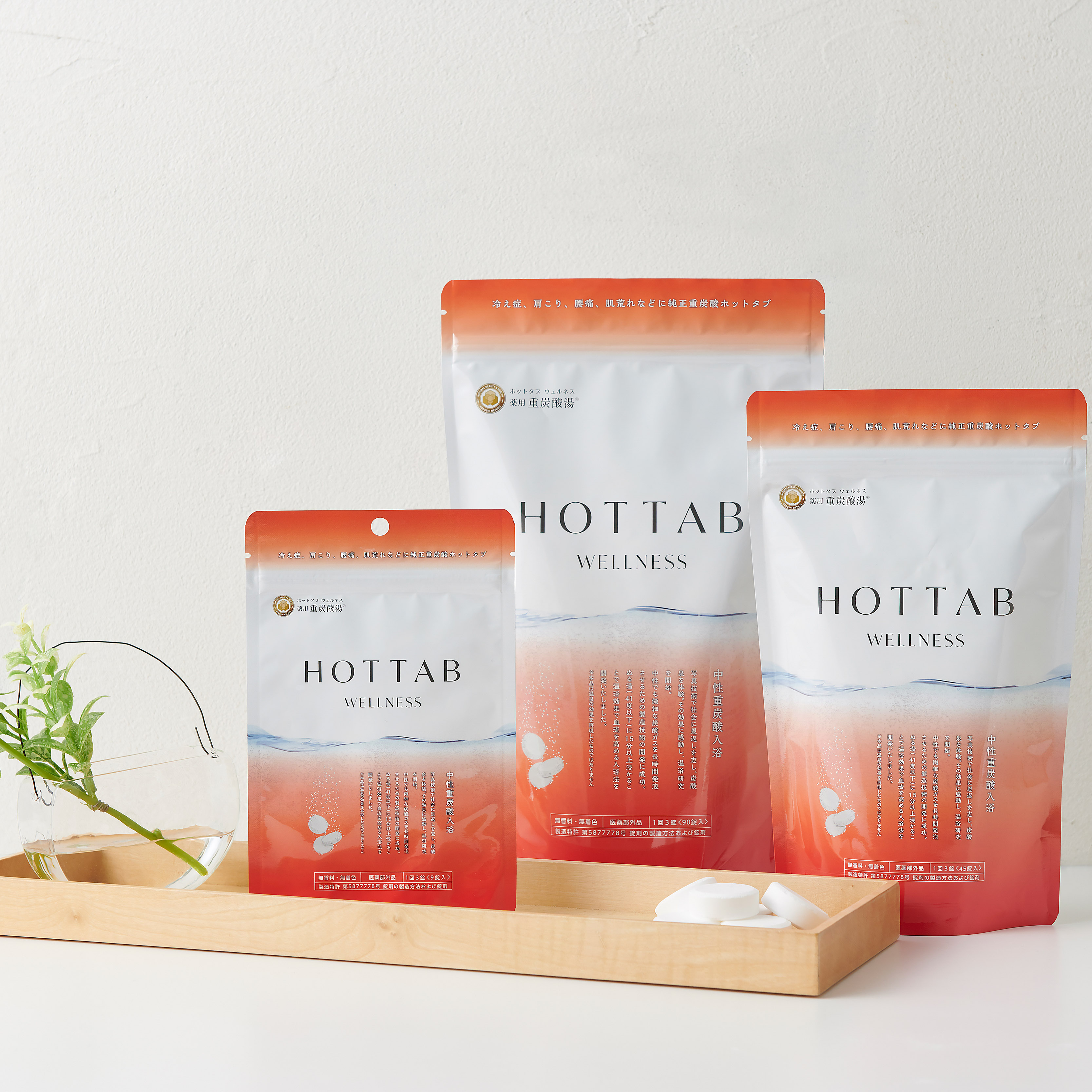 薬用 HOT TAB Wellness 90錠 | HOTTAB（ホットタブ）のプレゼント